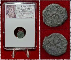 古代のコイン ユダヤ ヘロデ大王 交差したヤシの三脚 エルサレム 半分のプルタ