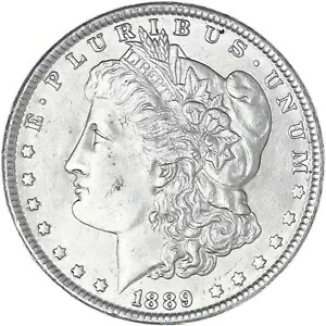 1889 (P) モルガン ダラー 未流通については写真を参照 R069