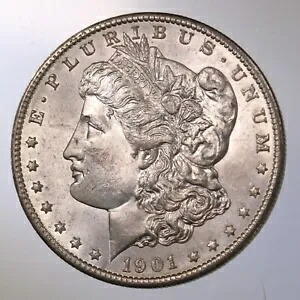 1901-O モーガン $1 未認定、グレードなし、ニューオーリンズ鋳造シルバー ダラー コイン