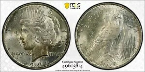 トーン 1923 P MS 62 ピース シルバー ダラー PCGS グレード認定本物のスラブ 65