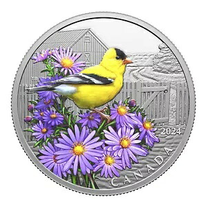 2024 $20 カラフルな鳥: アメリカゴールドフィンチ - 純銀貨 カナダコイン｜WORLD RESOURCE【KING店】