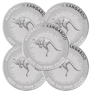 5 個ロット - 2025 $1 オーストラリア シルバー カンガルー 1 オンス 0.9999 ファイン BU｜WORLD RESOURCE【KING店】
