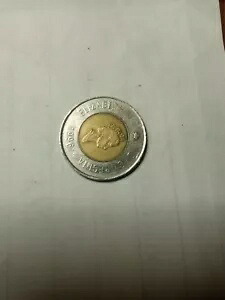 ~レア~ 1996 カナダ 2 ドル硬貨 クイーン エリザベス 2 世 & シロクマ