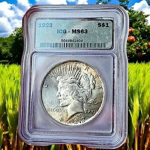 1923-P S$1 ピース シルバー ダラー - ICG MS 63 - 珍しい両面ゴールデン トナー!｜WORLD RESOURCE【KING店】 100,430円