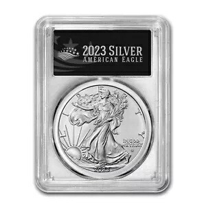 2023-W バーニッシュシルバーイーグル SP-70 PCGS (AR、ブラック)｜WORLD RESOURCE【KING店】