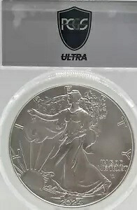2024-W バーニッシュ シルバー イーグル ウルトラ ブレイクス ヒート ウェーブ PCGS SP70 1 オンス シルバー #1730｜WORLD RESOURCE【KING店】 102,850円