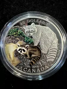 2016 $20 動物の赤ちゃん: COA 付きアライグマ上質銀貨｜WORLD RESOURCE【KING店】