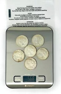 5.68オンス。 90% シルバー 6 米国平和ドル銀貨 さまざまな日付 - ロット 7｜WORLD RESOURCE【KING店】