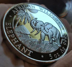 2017 ソマリアゾウ、アフリカの野生動物、5 オンスのソマリア銀貨、500 シリング｜WORLD RESOURCE【KING店】 101,200円