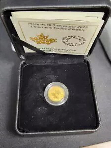 2022 カナダ アースドラゴン 8$ 1/20oz. 99.99%純金コイン｜WORLD RESOURCE【KING店】