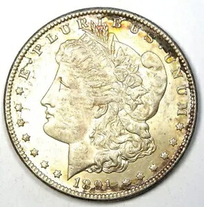 1891-CC モーガン ダラー $1 カーソンシティ コイン - 選択 AU / UNC ディテール (研磨済み)|WORLD RESOURCE【KING店】