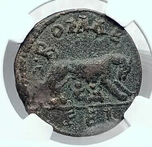 MACRINUS 本物の古代ラオデキア広告マーレローマコイン SHE WOLF TWINS NGC i81323|WORLD RESOURCE【KING店】