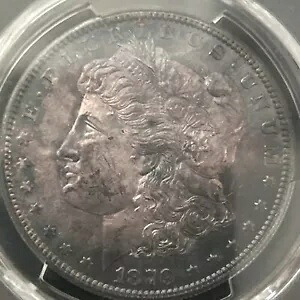 1879-S $1 モーガン シルバー ダラー *ブルーベリートーニング表面*