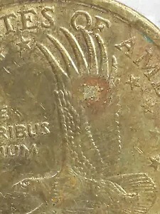 2000年 サカガウィアドル 希少入手困難ミント マークDエラー