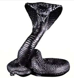 2025 サモア ルナ スネーク 3D キング コブラ 3 オンス シルバー カラー化された形の