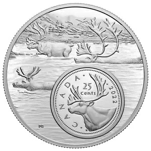 2022 カナダ 25c 全体像: カリブー - 5 オンス純銀貨｜WORLD RESOURCE【KING店】