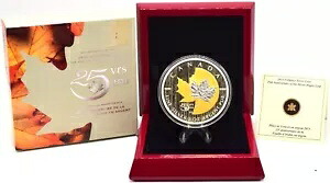 コイン ファイン シルバー カナダ カナダ メープル リーフ 25 周年記念 5オンス 2013 ボックス + COA｜WORLD RESOURCE【KING店】