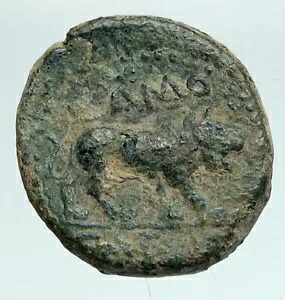 ギリシャ本物の古代アンティーク SAMOSATA COMMAGENE 古銭 ZEUS LION i90844｜WORLD RESOURCE【KING店】 245,850円