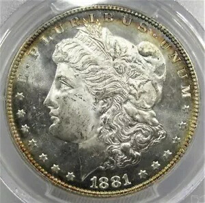 1881-P モルガン ドル PCGS MS64 PL カメオ & トーニング AD528