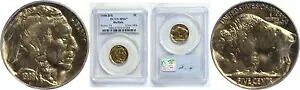 1938-D/S 5C バッファロー ニッケル PCGS MS-67｜WORLD RESOURCE【KING店】