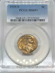 1929-S MS65 バッファロー ニッケル PCGS ミント ステート 65+｜WORLD RESOURCE【KING店】