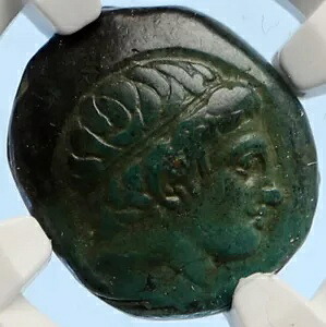 マケドニア フェリペ 2 世の古代古いギリシャのコイン アポロ オリンピック馬 NGC i95643|WORLD RESOURCE【KING店】