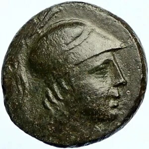 アミソス ポントス 90BC ミトラダテス VI ザ グレート タイム 古代古いギリシャ コイン i100452|WORLD RESOURCE【KING店】