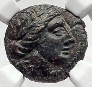 LARISSA テッサリア古代テッサリアン リーグ ギリシャ コイン APOLLO ATHENA NGC i72735|WORLD RESOURCE【KING店】