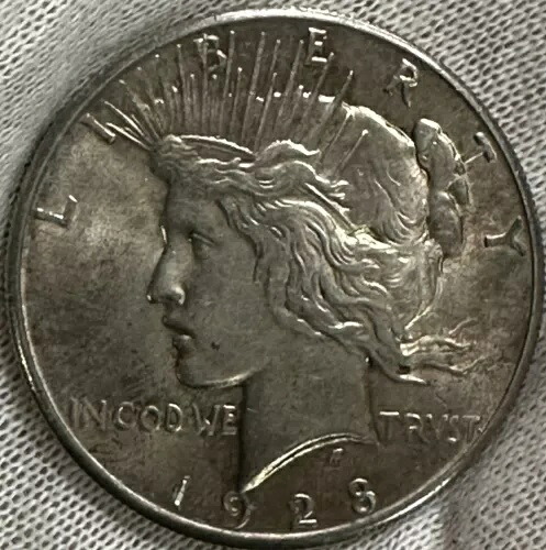 1928-P ピース ダラー わずか 360,649 枚の鋳造。キーデートのコインは良好な状態です