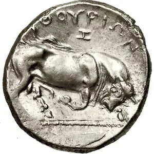 イタリア。ルカニア。トゥリオイ。 ARステーター。紀元前 350 ～ 300 年。非常に素晴らしい。11008 年。
