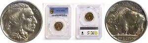 1924 5C バッファロー ニッケル PCGS MS-65｜WORLD RESOURCE【KING店】 728,200円
