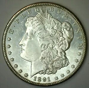 1891 CC モーガン シルバー ダラー コイン 未流通 カーソンシティ $1｜WORLD RESOURCE【KING店】