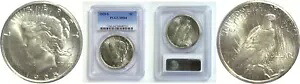 1925-S 1 ドル平和ドル PCGS MS-64｜WORLD RESOURCE【KING店】 728,200円