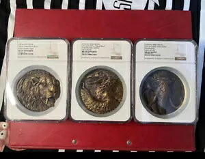 中国真鍮コイン 90mm 古代生物 NGC MS 69/70 公式造幣局メダル 3 個｜WORLD RESOURCE【KING店】 404,415円