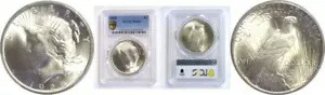 1925年 1ドル平和ドル PCGS MS-66+
