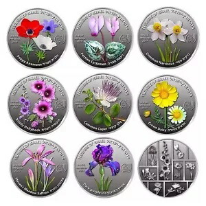 イスラエルの花セット