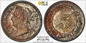 1901 年海峡和解 5 セント KM#10 PCGS MS64｜WORLD RESOURCE【KING店】