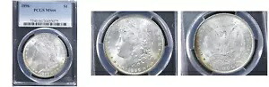 1896年 $1 MS66 PCGS-モルガンドル--|WORLD RESOURCE【KING店】