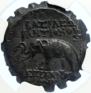 アンティオコス VI ディオニュソス 144BC セレウキッド古代古いギリシャのコイン 象 NGC i106754|WORLD RESOURCE【KING店】