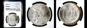 1881 $1 NGC MS65+ POP14-PQ モーガン ドル|WORLD RESOURCE【KING店】