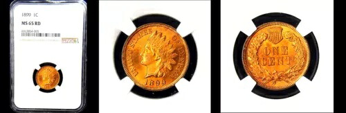 1899 1C NGC MS65RD- ピュア レッド フラッシュ PQ インディアン ヘッド セント|WORLD RESOURCE【KING店】