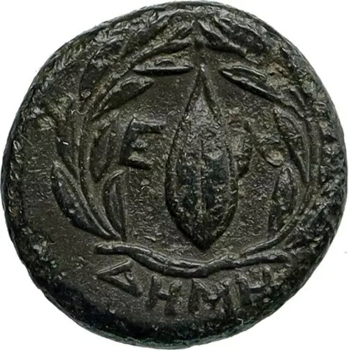 ELAIA in AEOLIS オリジナル本物の古代 400BC ギリシャコイン ATHENA GRAIN i86740|WORLD RESOURCE【KING店】