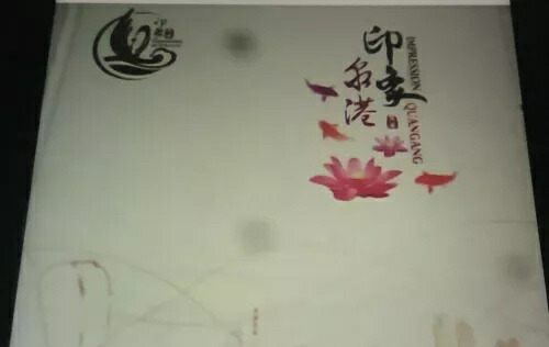 中国全港切手1枚アルバム、合計27枚/54ページ、新品/未使用画像