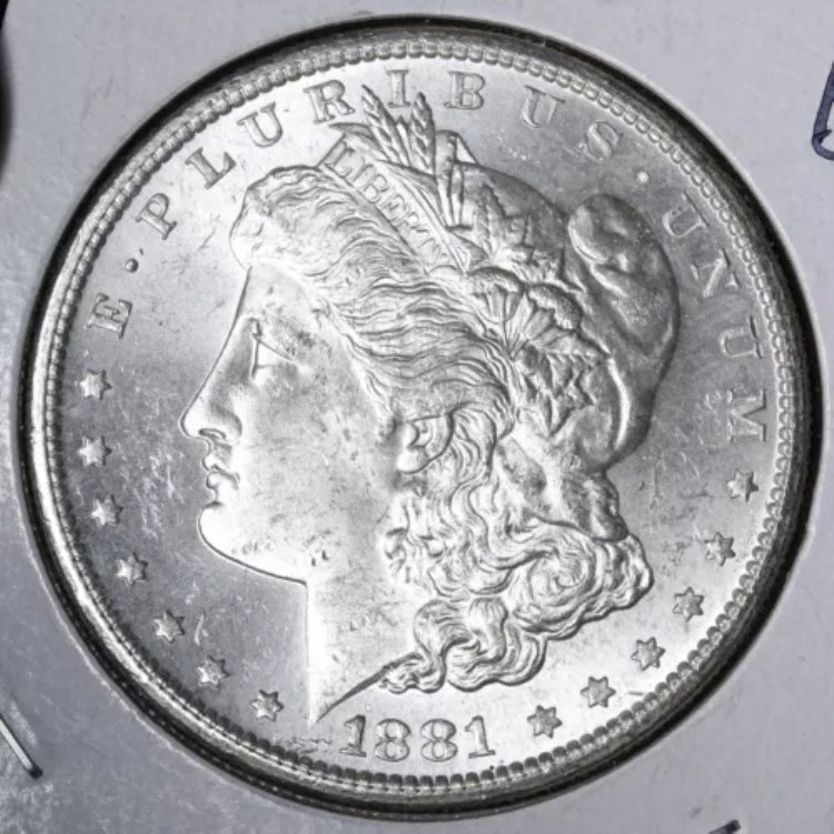 1881-S モルガン銀貨 チョイス BU 未流通 MS ビデオをご覧ください！ E344 RFW