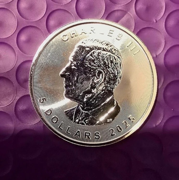 楽天市場】2022年 スーパーインキューズ メープルリーフ 1オンス .9999