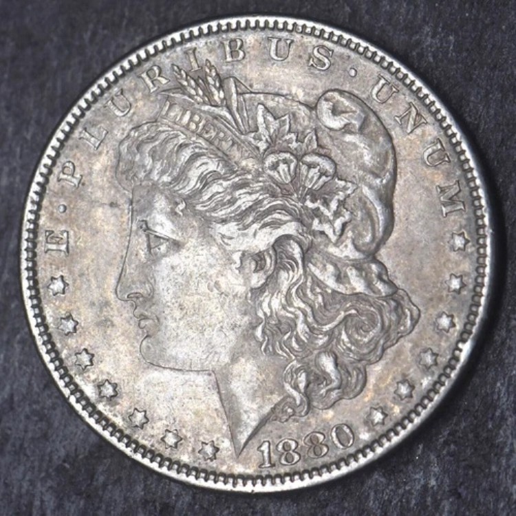 モルガンコンチョベルト　カウントアップ　1878〜1890 楽天市場】1878年〜1890年 計13枚 カウントアップ モルガンコンチョ/1