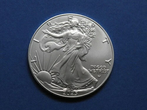 楽天市場】2025年 純銀1オンス 銀 「アメリカ イーグル銀貨 プリヴィ