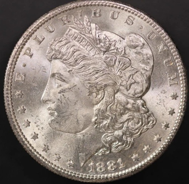 1881年 S モーガン シルバードル - 古いコレクションから新品 - ロット 8407
