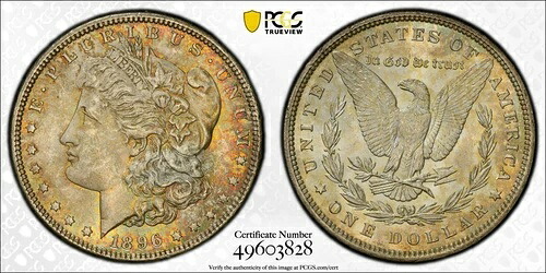 トーン加工済み 1896 P MS 63 モルガン・リバティ銀貨 PCGS認定スラブ 28
