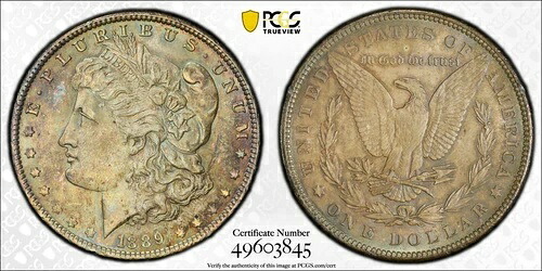 トーン加工済み 1889 P MS 63 モルガン・リバティ銀貨 PCGS認定スラブ 34